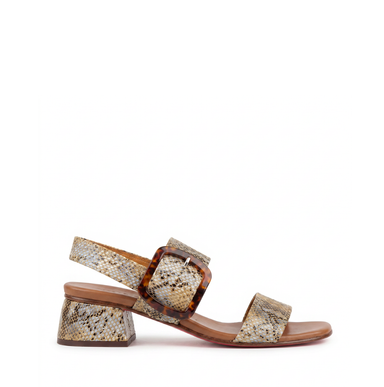 Sandals - DOLITA