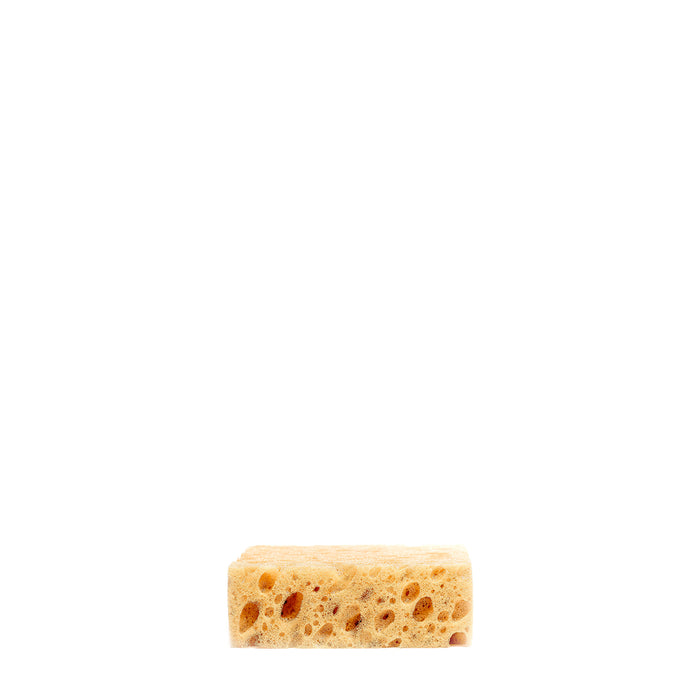 Sponge Schwamm - DOLITA