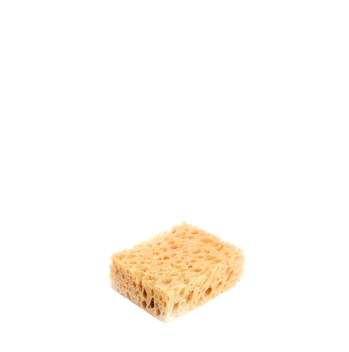Sponge Schwamm - DOLITA